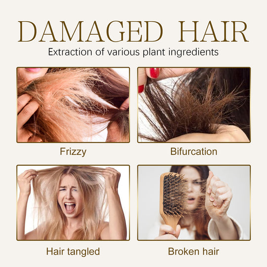 Collage of damaged hair types: frizzy, split ends, tangled, and broken hair